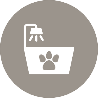 Pamper fido in the pet spa and kennels
